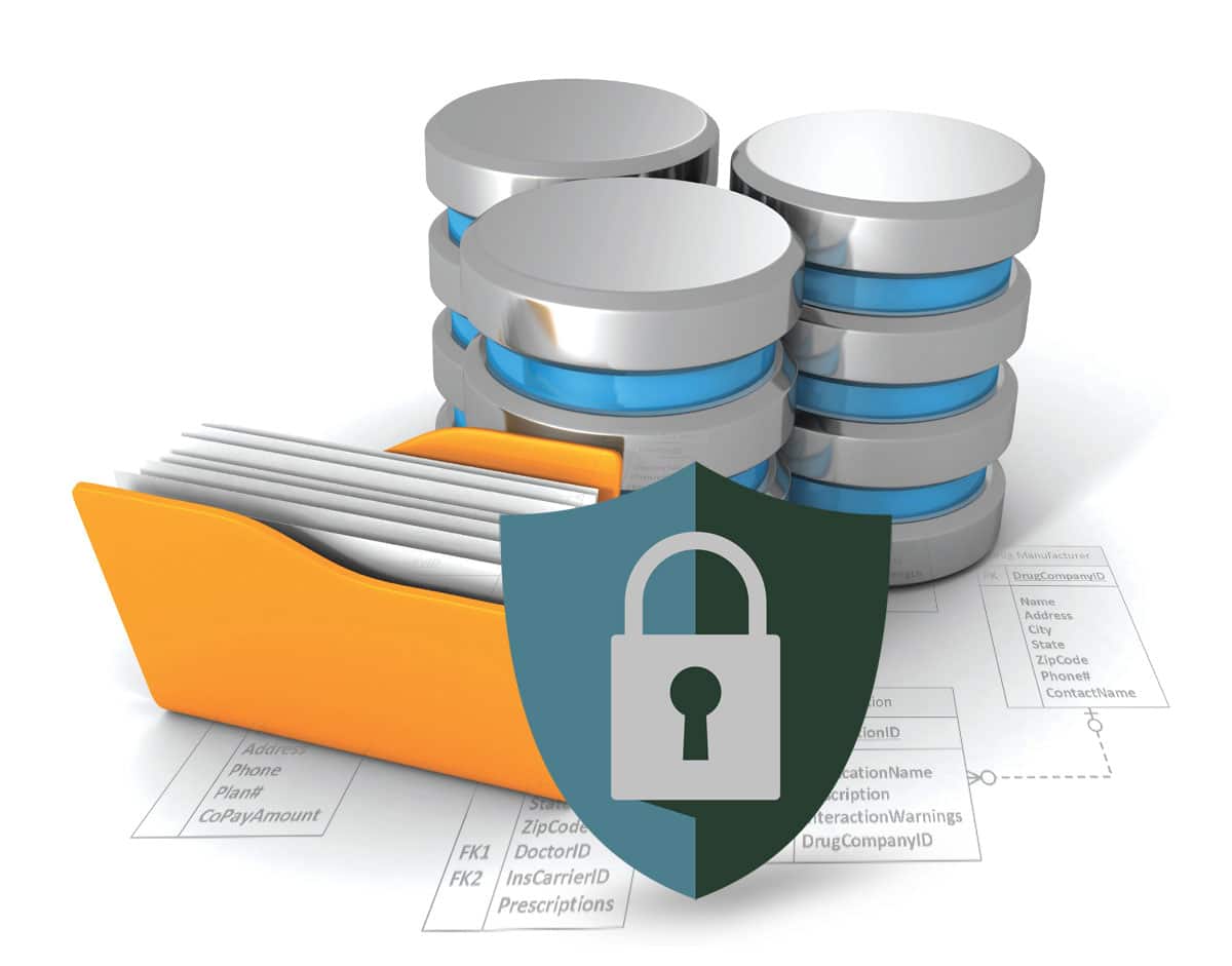 Database records protected behind a secure vault
